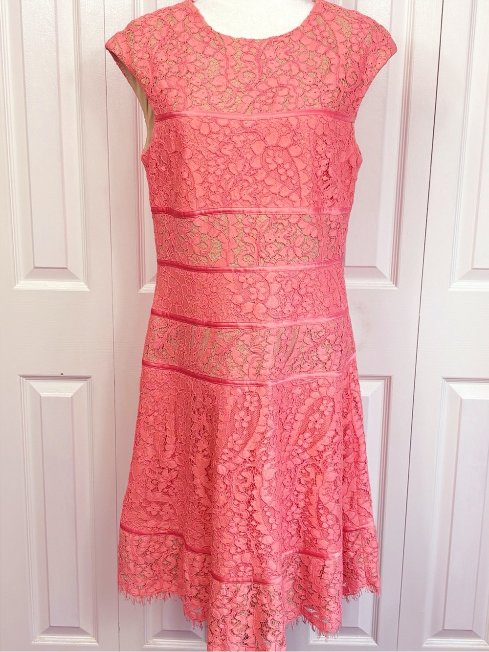 Alex Evenings Feminine Coral Pink Lace Sleeveless Fit & Flare Dress 12